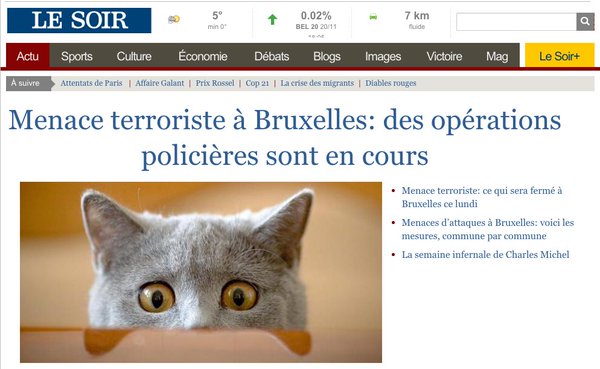 brusselslockdown-chatons-operations-anti-terroristes